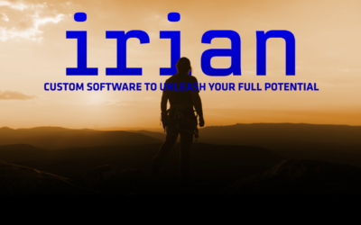 Executive Day: Make or Buy? Custom Software To Unleash Your Full Potential
